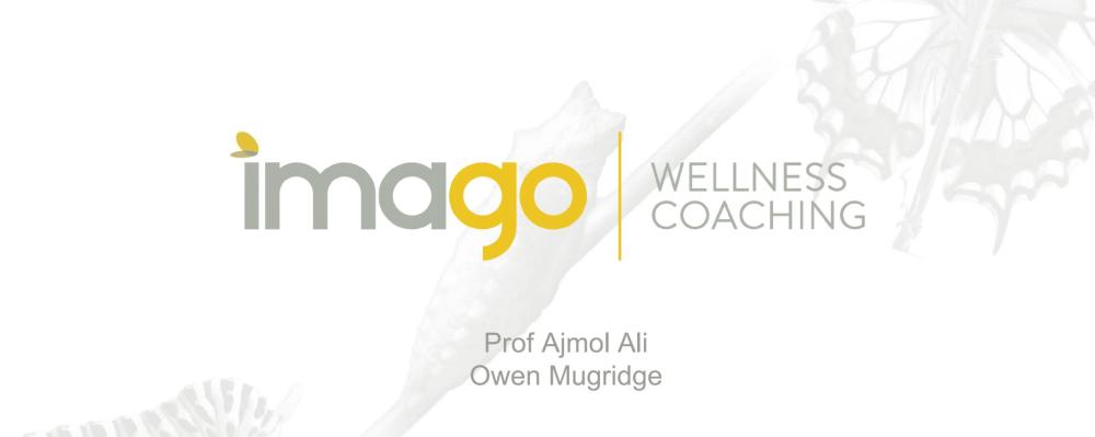 Imago Wellness Coaching